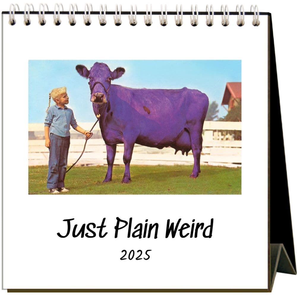 Just Plain Weird 2025 Easel Desk Calendar