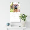 image Boxers 2026 Wall Calendar Third Alternate Image
