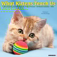 image What Kittens Teach Us 2026 Wall Calendar Main Image