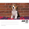 image Beagles Just 2025 Desk Calendar Second Alternate Image