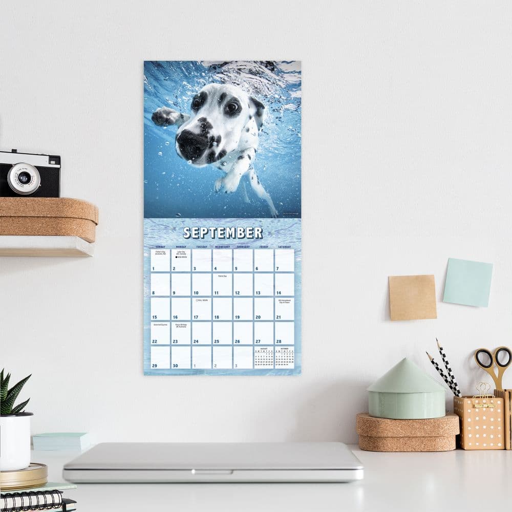 Underwater Puppies by Seth Casteel 2024 Mini Wall Calendar