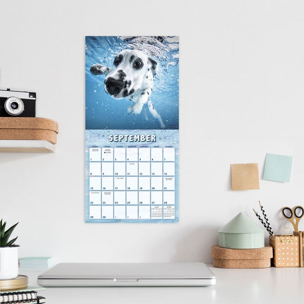 Underwater Puppies by Seth Casteel 2024 Mini Wall Calendar Fourth Alternate Image width=&quot;1000&quot; height=&quot;1000&quot;