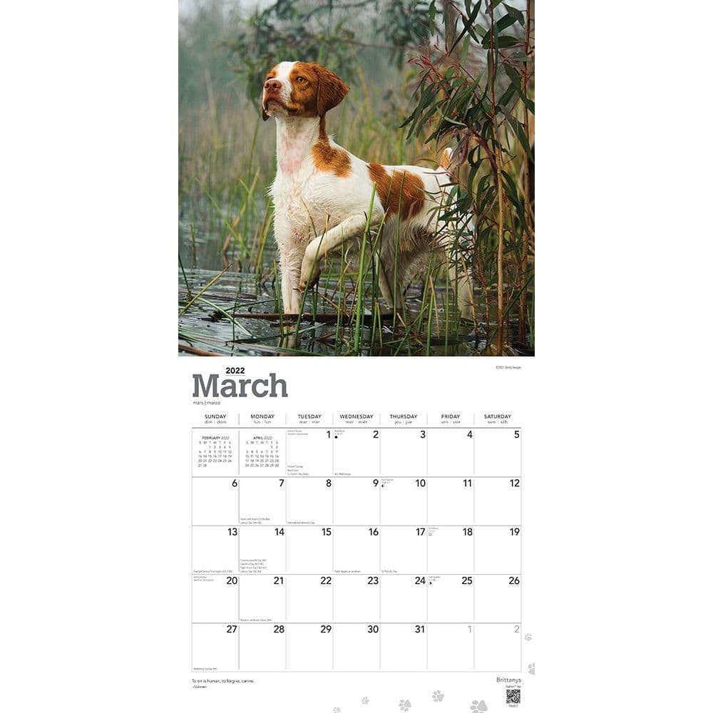 2021 Wall Calendar Free Shipping Just Brittanys dog breed calendar 