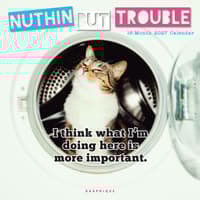 image Nuthin But Trouble 2027 Wall Calendar Main Product Image