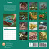 image Snakes 2025 Wall Calendar First Alternate Image width=&quot;1000&quot; height=&quot;1000&quot;