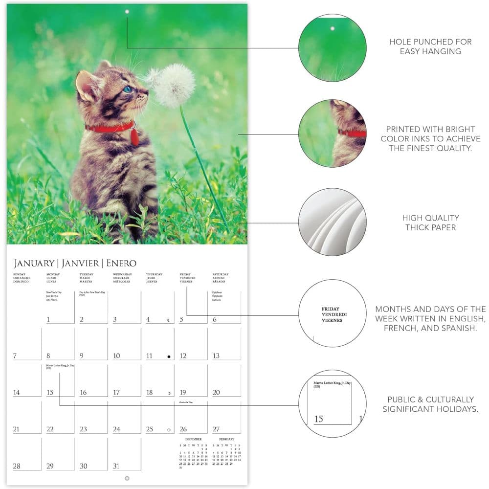 Kittens Cute ASPCA 2024 Wall Calendar Fourth Alternate Image width=&quot;1000&quot; height=&quot;1000&quot;