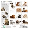 image Puppies &amp; Friends 2024 Wall Calendar First Alternate Image width=&quot;1000&quot; height=&quot;1000&quot;