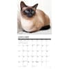 image Siamese Cats 2025 Wall Calendar