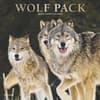 image Wolf Pack by Plato Foil 2025 Wall Calendar Main Image