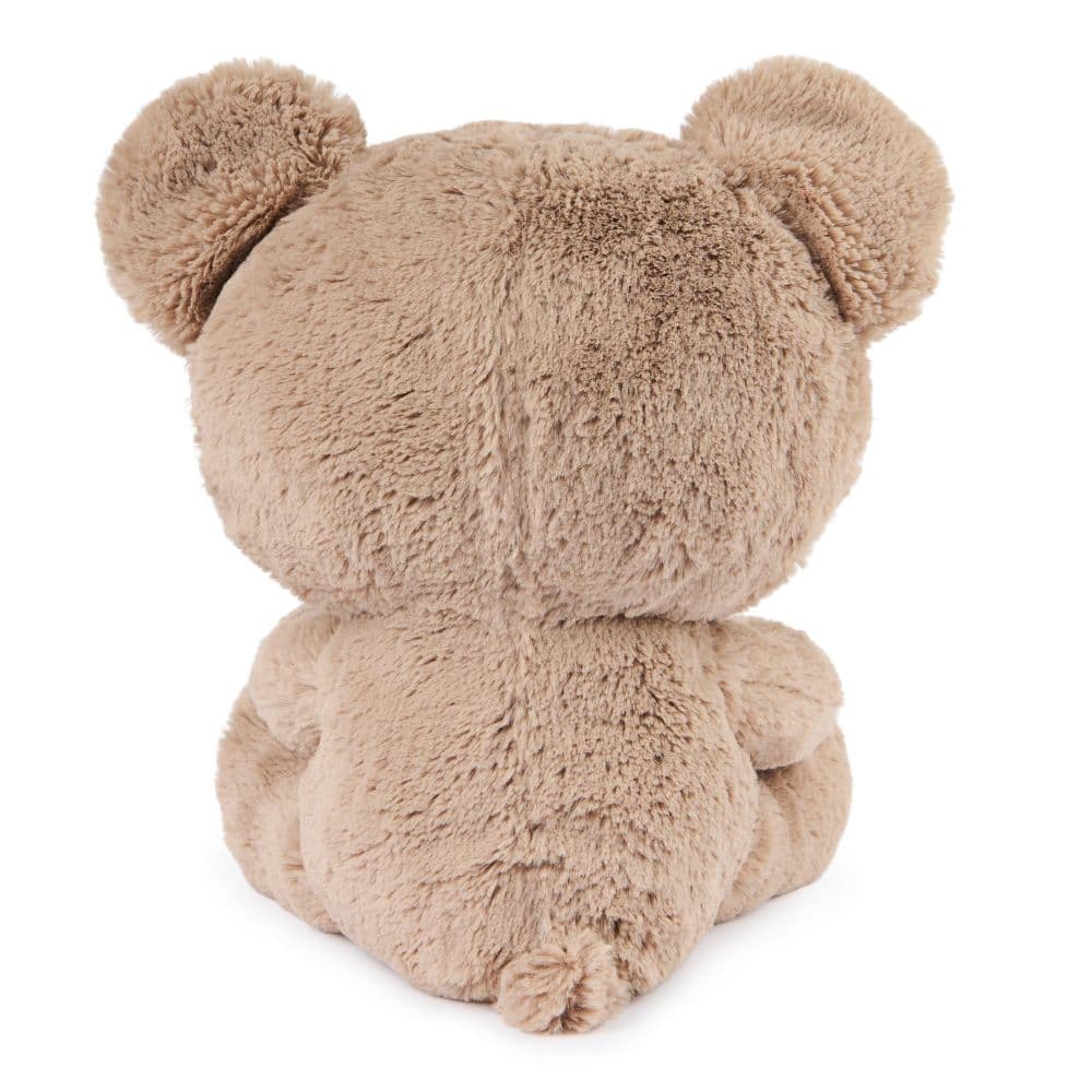 Kai Teddy Bear Plush Eleventh Alternate Image