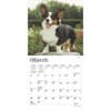 image Welsh Corgi 2025 Mini Wall Calendar