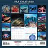 image Sea Creatures 2027 Wall Calendar