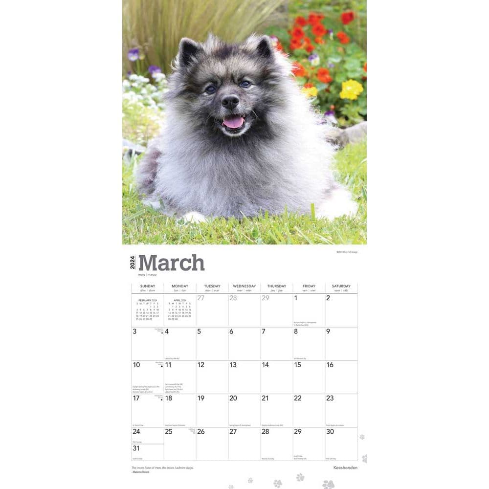 Keeshonden 2024 Wall Calendar - Calendars.com