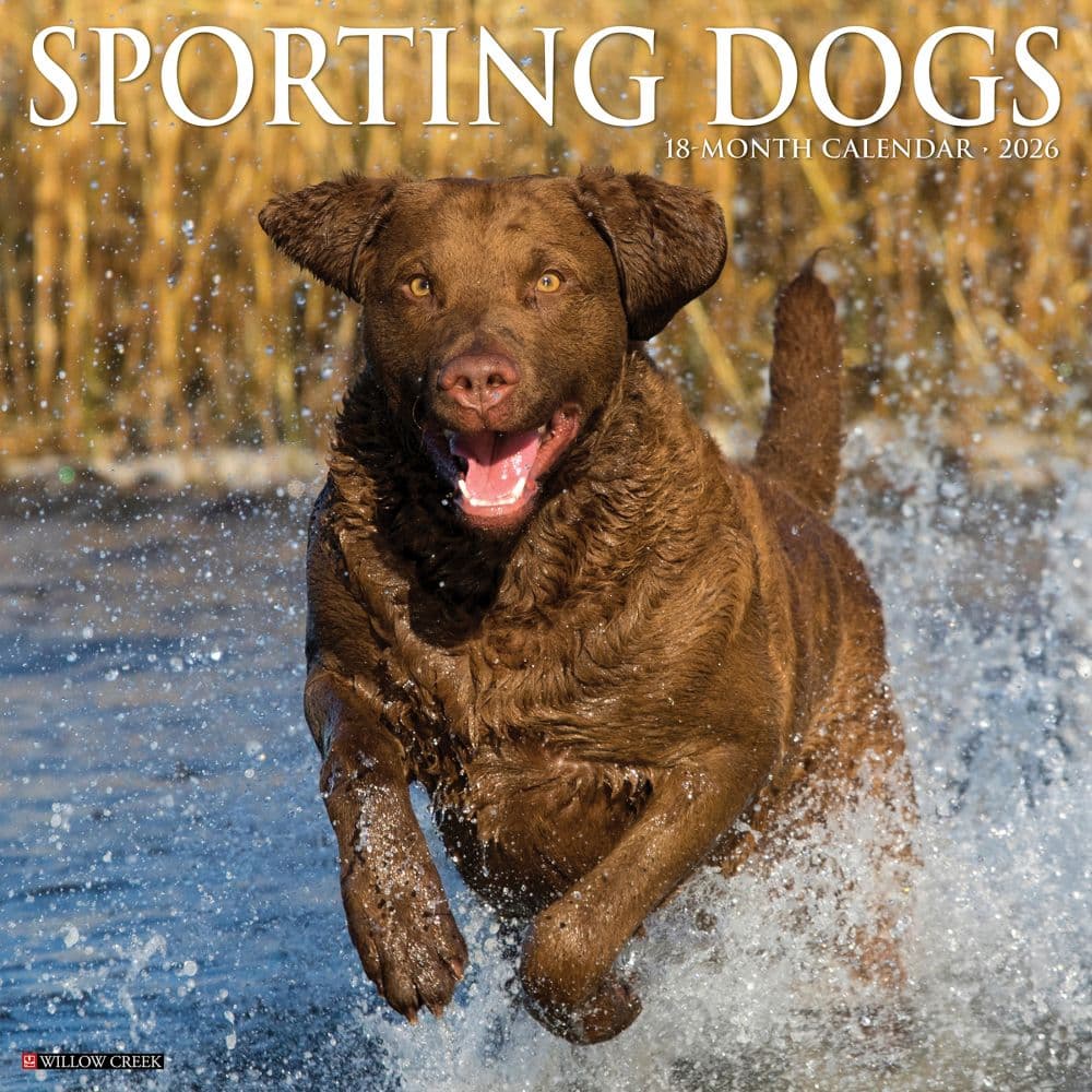 Sporting Dogs 2026 Wall Calendar Main Image