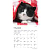 image For the Love of Kittens 2024 Mini Wall Calendar Second Alternate Image width=&quot;1000&quot; height=&quot;1000&quot;