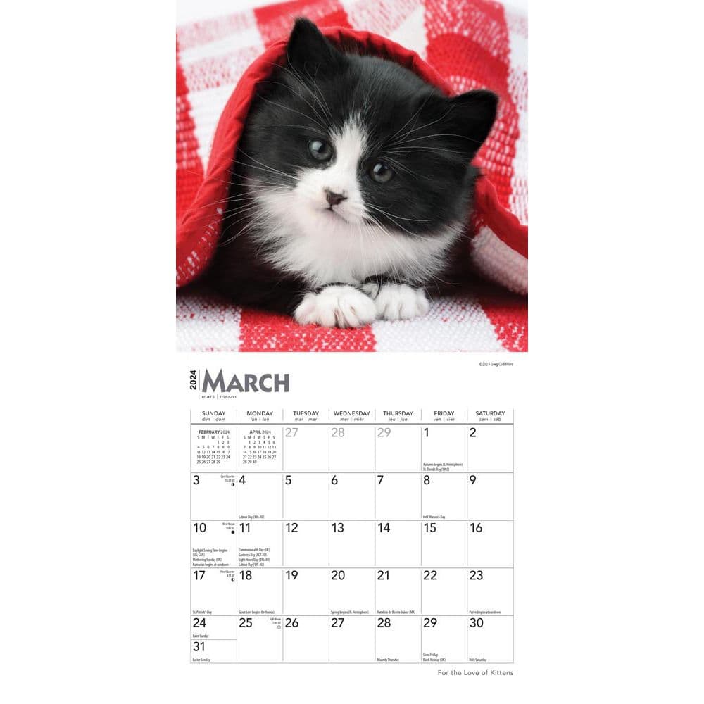 For the Love of Kittens 2024 Mini Wall Calendar Second Alternate Image width=&quot;1000&quot; height=&quot;1000&quot;