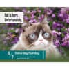 image Grumpy Cat 2025 Desk Calendar Fourth Alternate Image width=&quot;1000&quot; height=&quot;1000&quot;