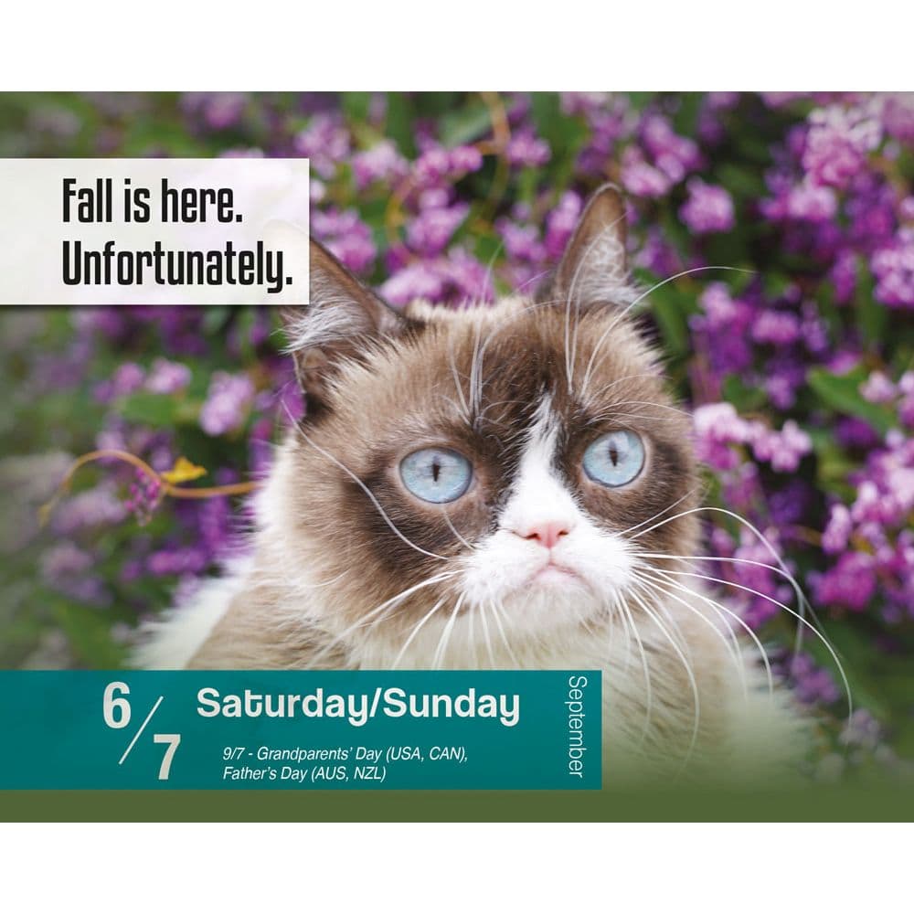 Grumpy Cat 2025 Desk Calendar Fourth Alternate Image width=&quot;1000&quot; height=&quot;1000&quot;