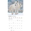 image Wolves Special Value 2026 Wall Calendar Second Alternate Image