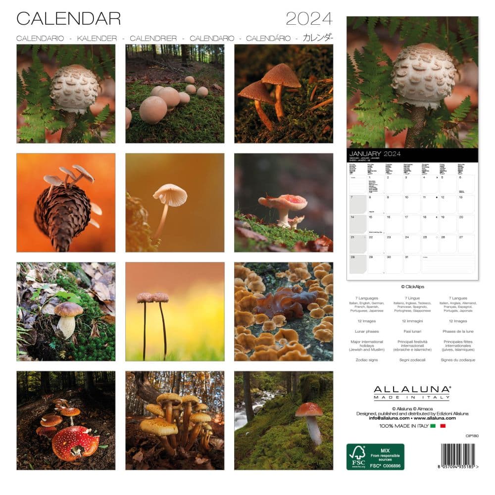 Mushrooms 2024 Wall Calendar