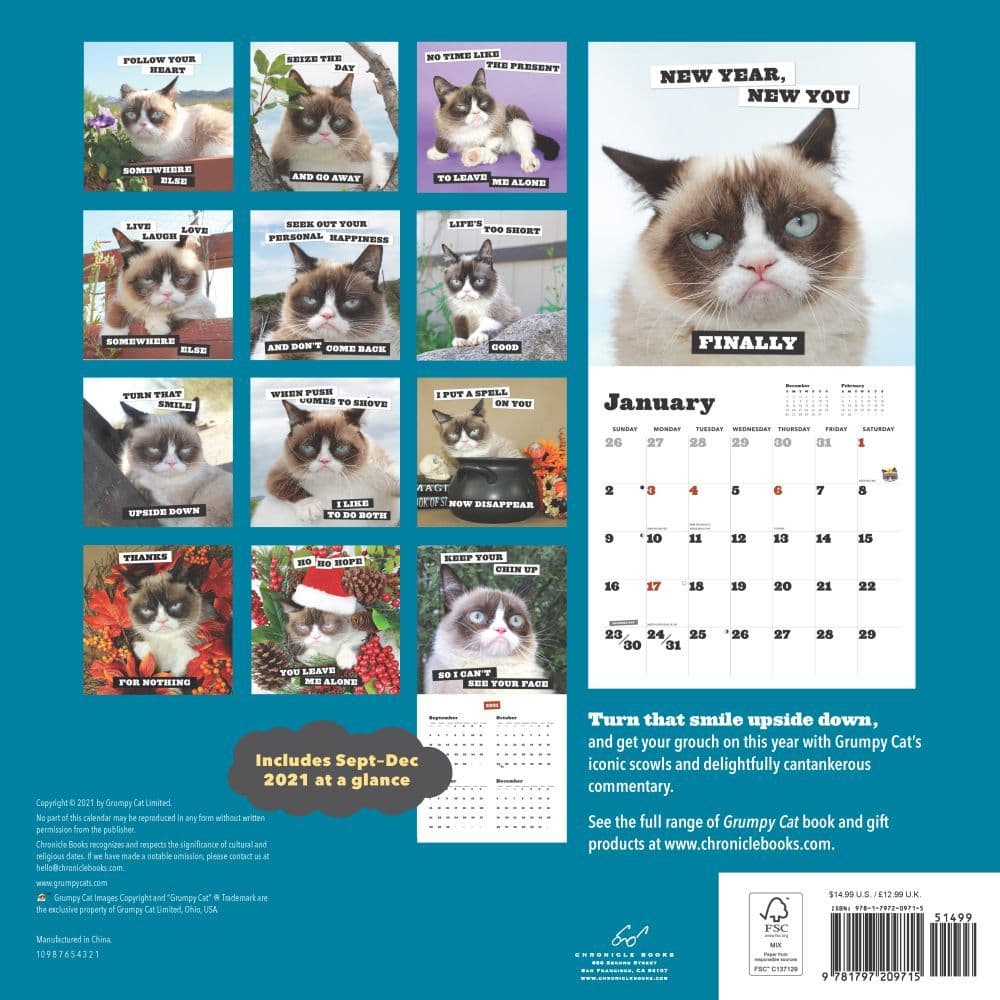Grumpy Cat 2022 Calendar Grumpy Cat 2022 Wall Calendar - Calendars.com