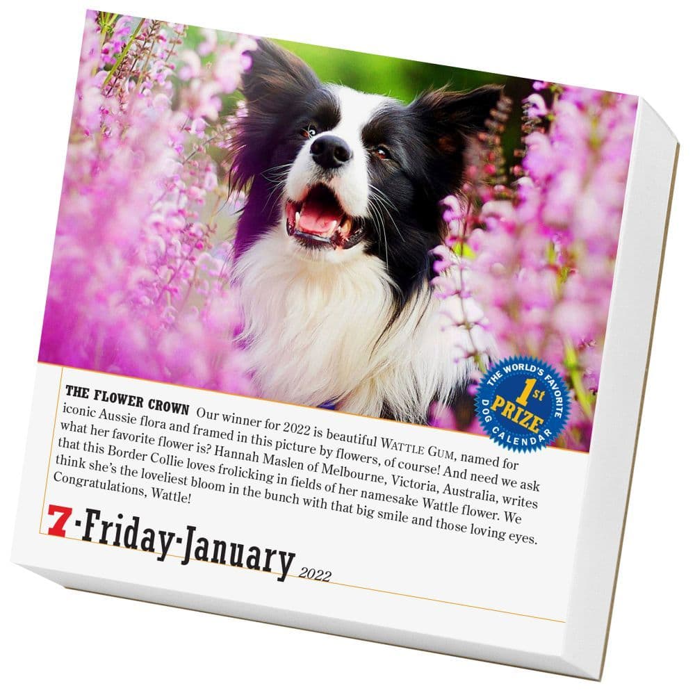 365 Dogs 2022 Page-A-Day Calendar - Calendars.com
