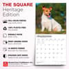 image Jack Russell Terriers 2027 Wall Calendar Fifth Alternate Image