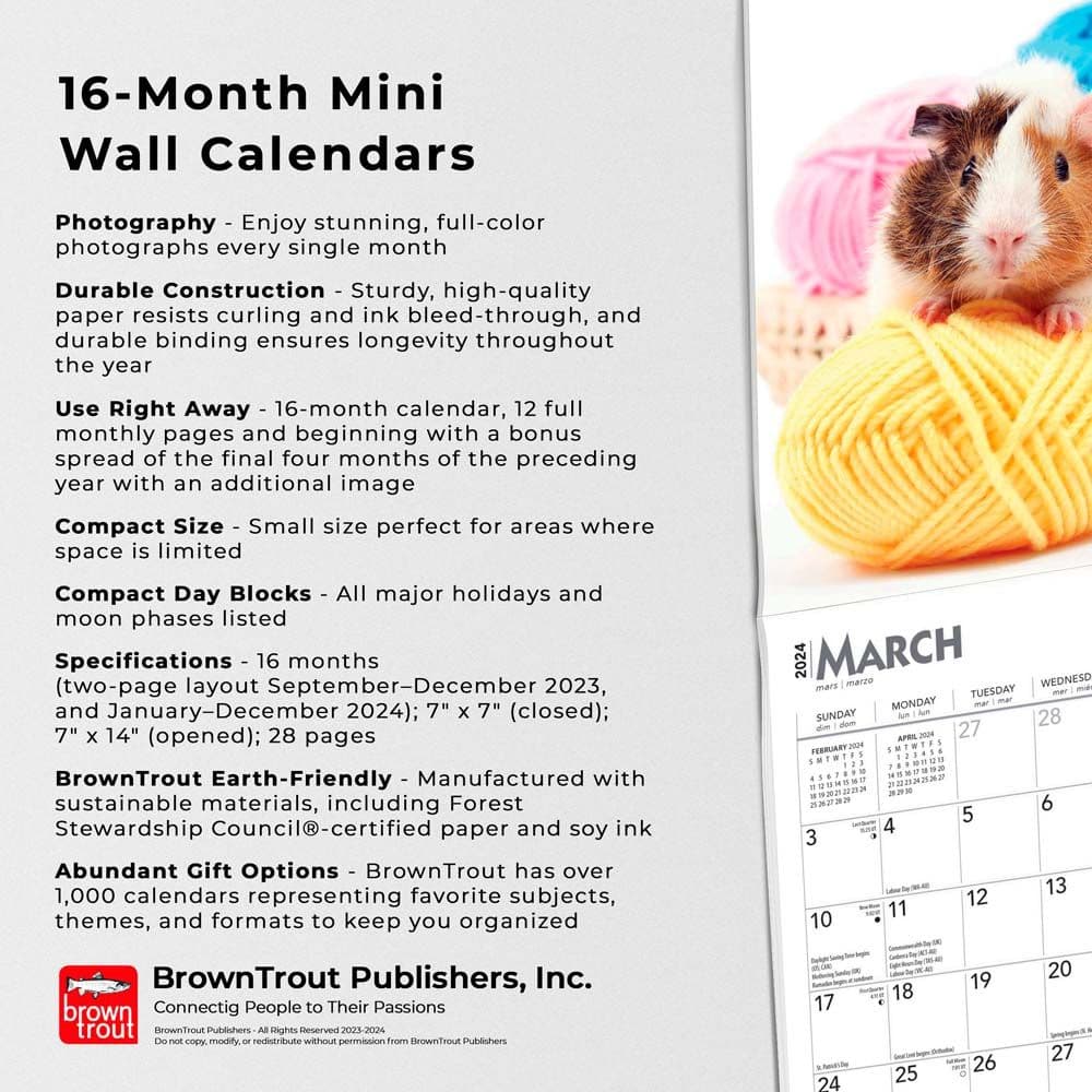 Guinea Pigs 2024 Mini Wall Calendar Fourth Alternate Image width=&quot;1000&quot; height=&quot;1000&quot;