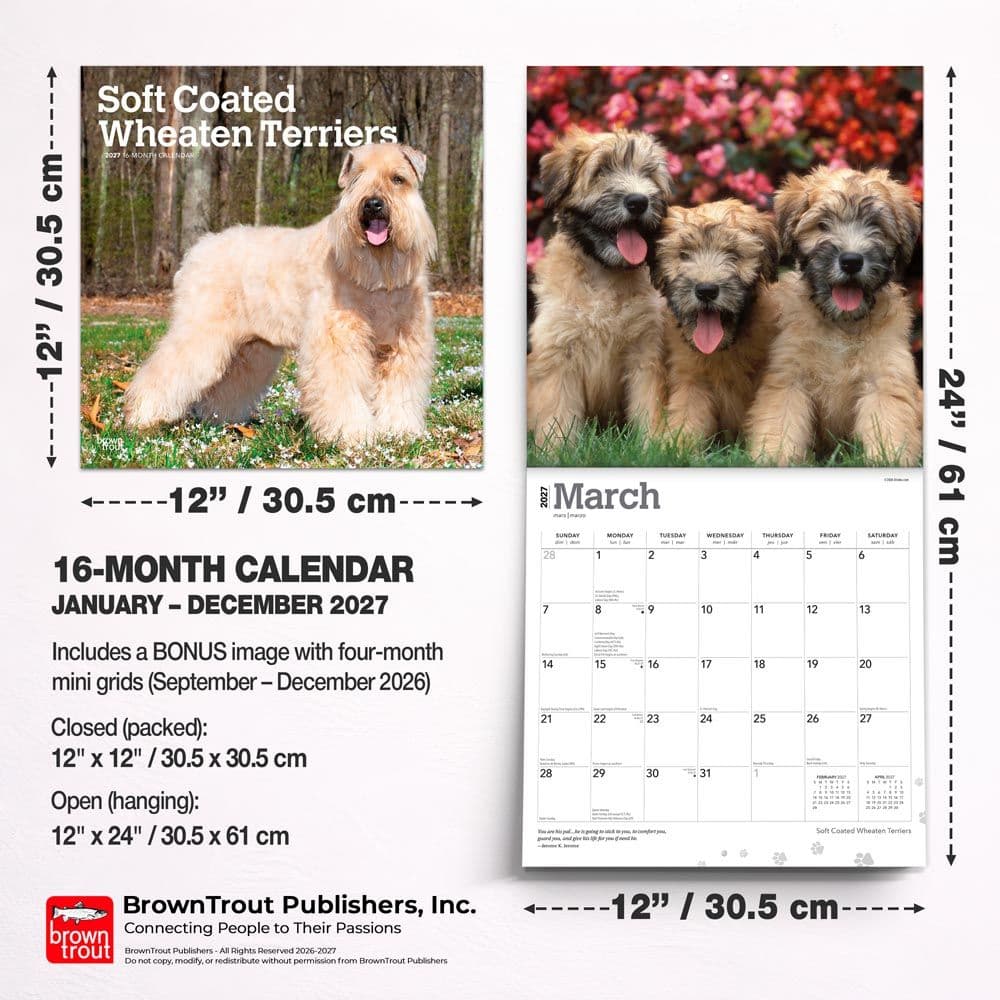 Wheaten Terriers Soft Coated 2027 Wall Calendar Seventh Alternate Image
