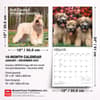 image Wheaten Terriers Soft Coated 2027 Wall Calendar Seventh Alternate Image