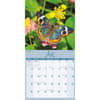 image Butterflies Special Value 2026 Wall Calendar Third Alternate Image