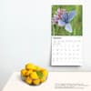 image Butterflies 2025 Wall Calendar