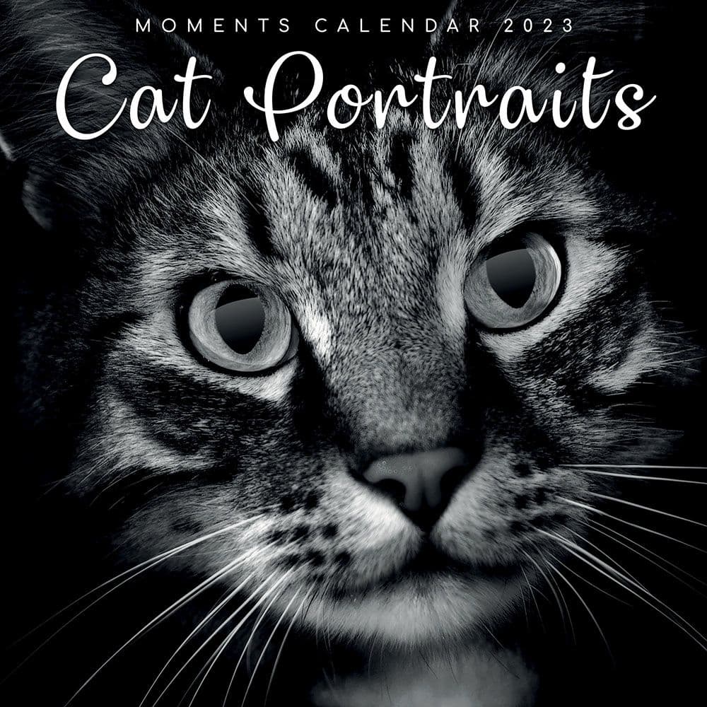 The Gifted Stationery Co Ltd Cat Portraits 2023 Wall Calendar