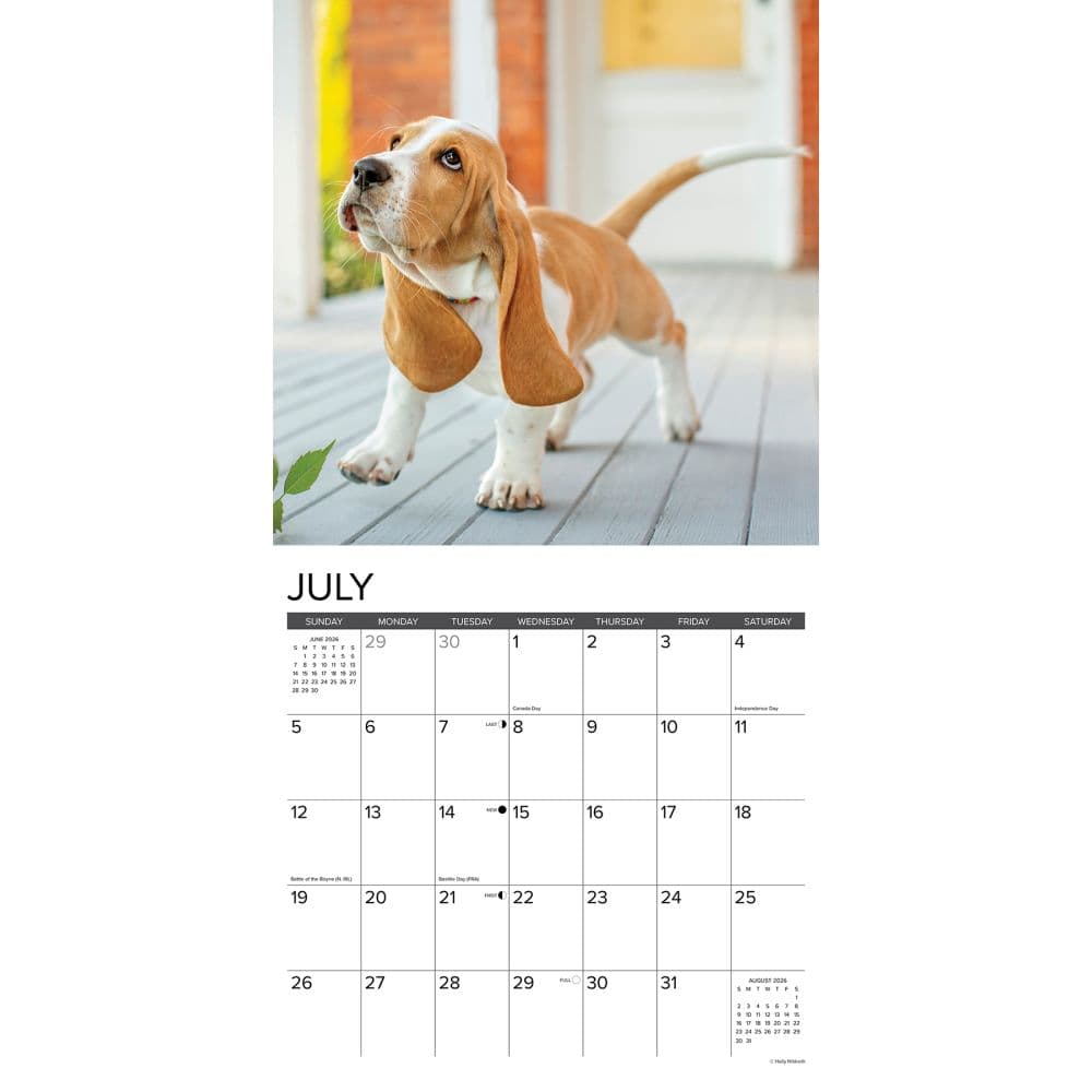 Just Basset Hound Puppies 2026 Wall Calendar Second Alternate Image