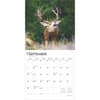 image Monster Bucks 2025 Wall Calendar Third Alternate Image