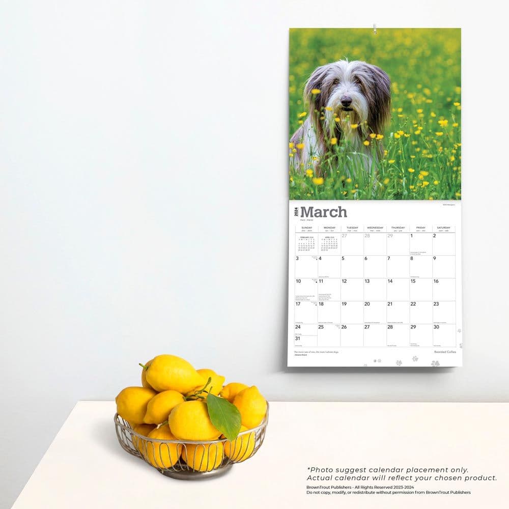 Bearded Collies 2024 Wall Calendar Third Alternate Image width=&quot;1000&quot; height=&quot;1000&quot;