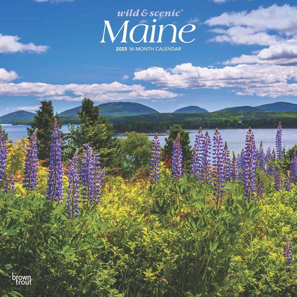 Maine Wild and Scenic 2025 Wall Calendar Main Product Image width=&quot;1000&quot; height=&quot;1000&quot;