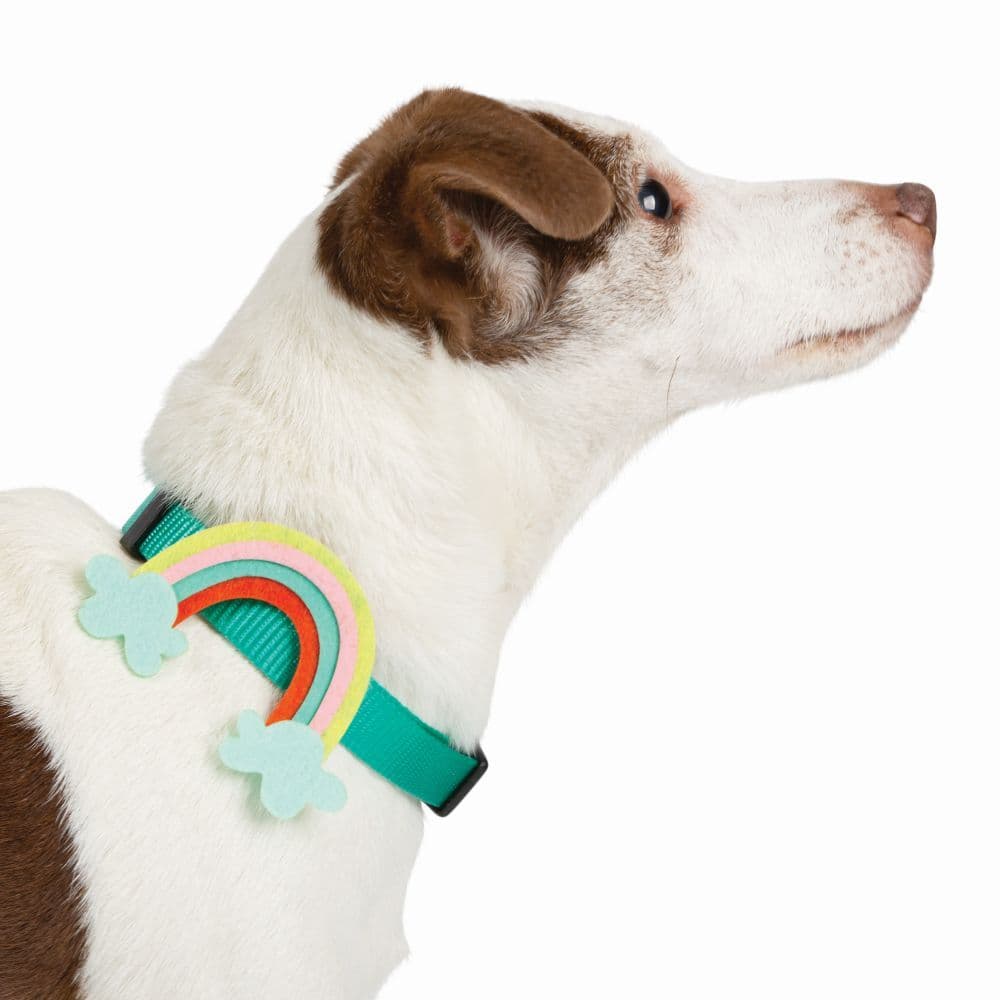 Rainbow Vibes Dog Collar Charm Alternate Image 2