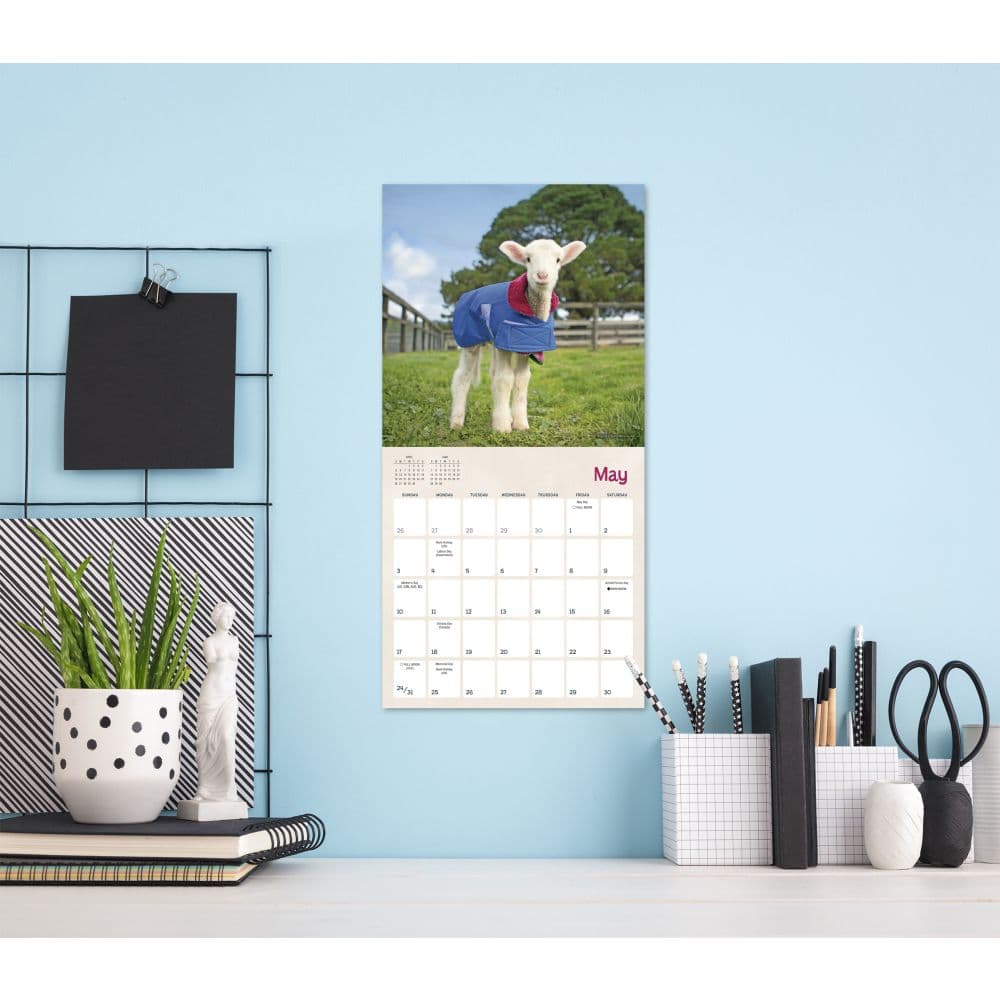 Lambies in Jammies 2026 Mini Wall Calendar Fourth Alternate Image