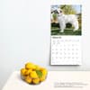 image Great Pyrenees 2024 Wall Calendar Third Alternate Image width=&quot;1000&quot; height=&quot;1000&quot;