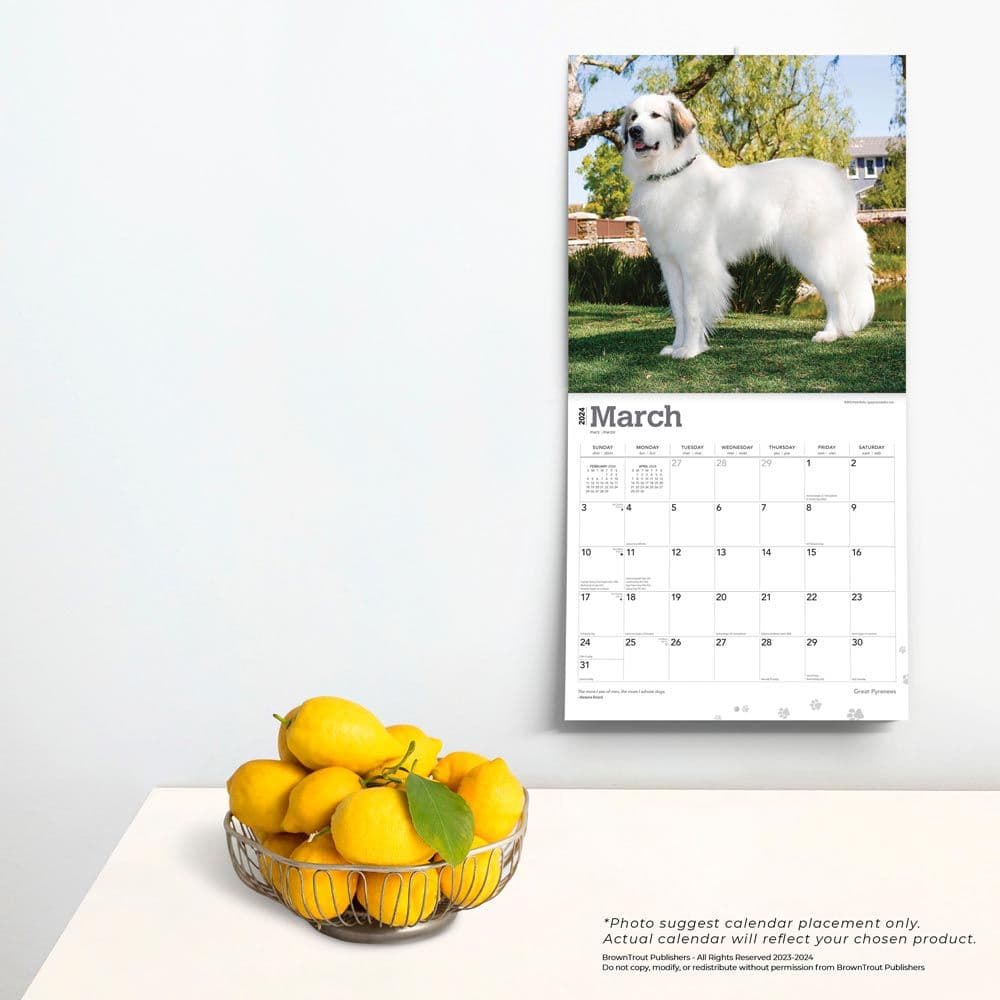 Great Pyrenees 2024 Wall Calendar Third Alternate Image width=&quot;1000&quot; height=&quot;1000&quot;