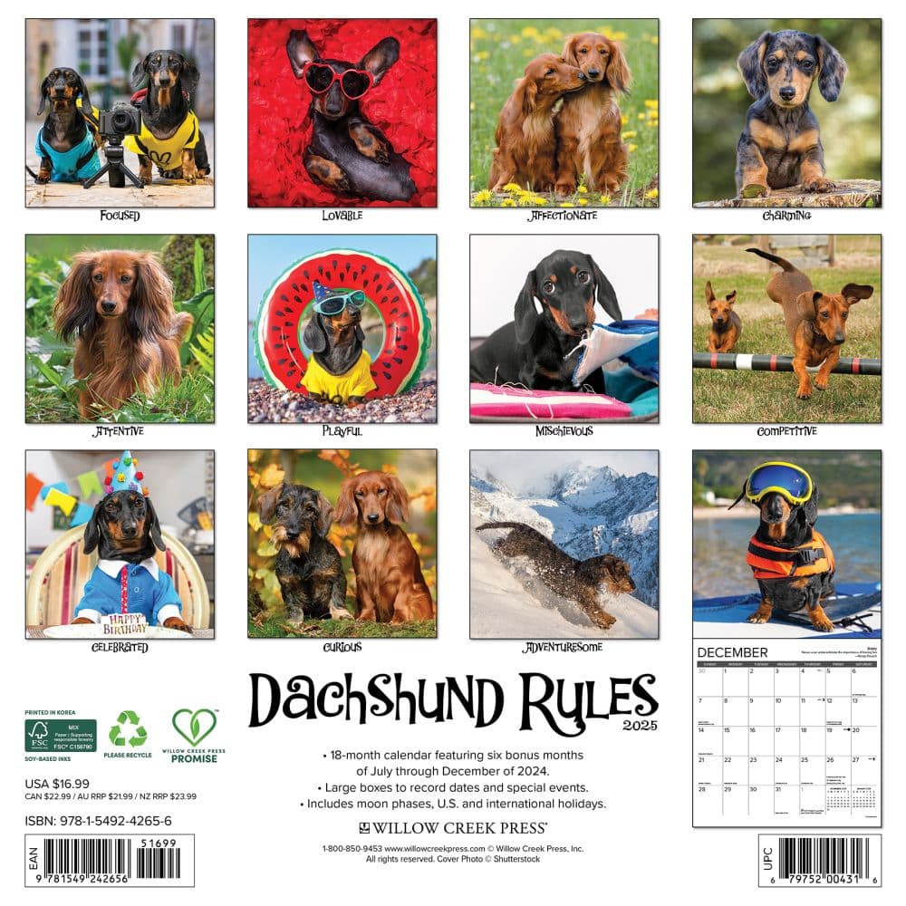 Dachshund Rules 2025 Wall Calendar First Alternate Image width=&quot;1000&quot; height=&quot;1000&quot;