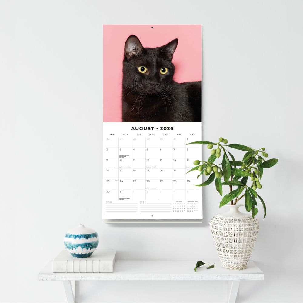 Black Cats 2026 Wall Calendar Third Alternate Image