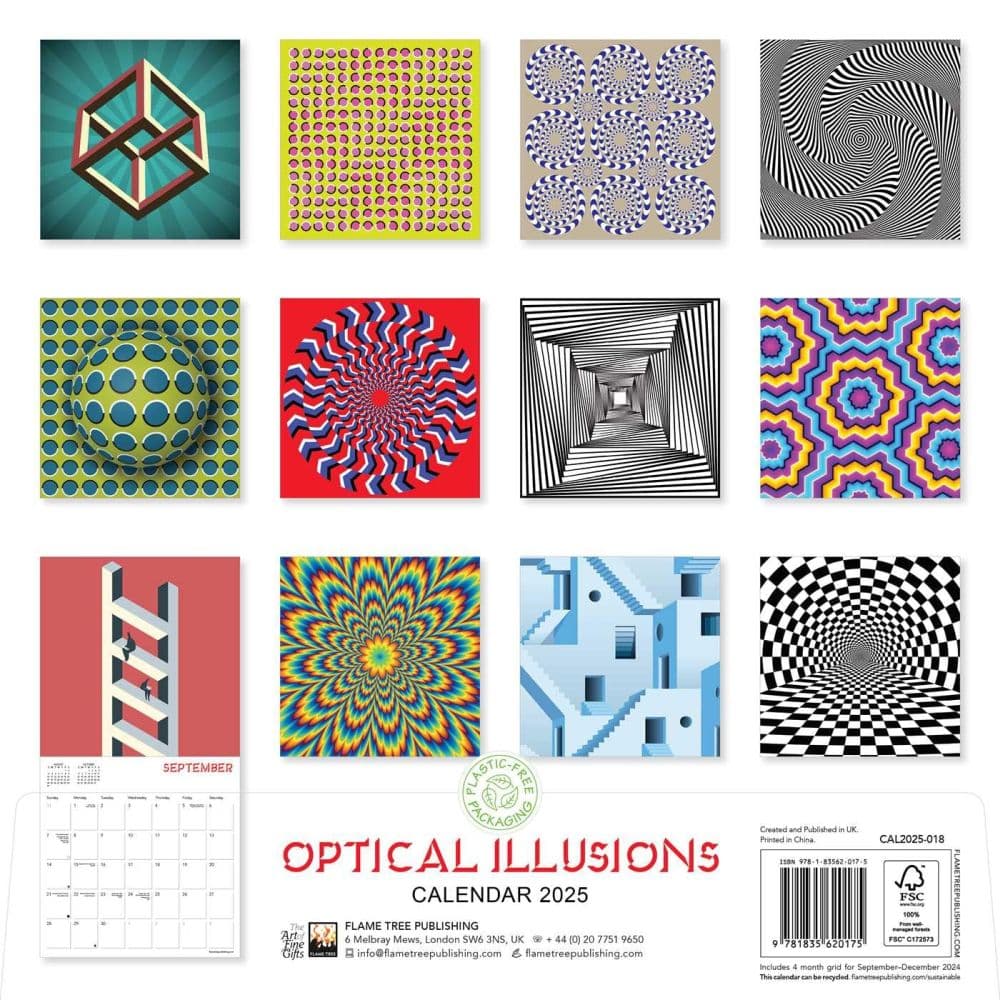 Optical Illusions 2025 Wall Calendar First Alternate Image