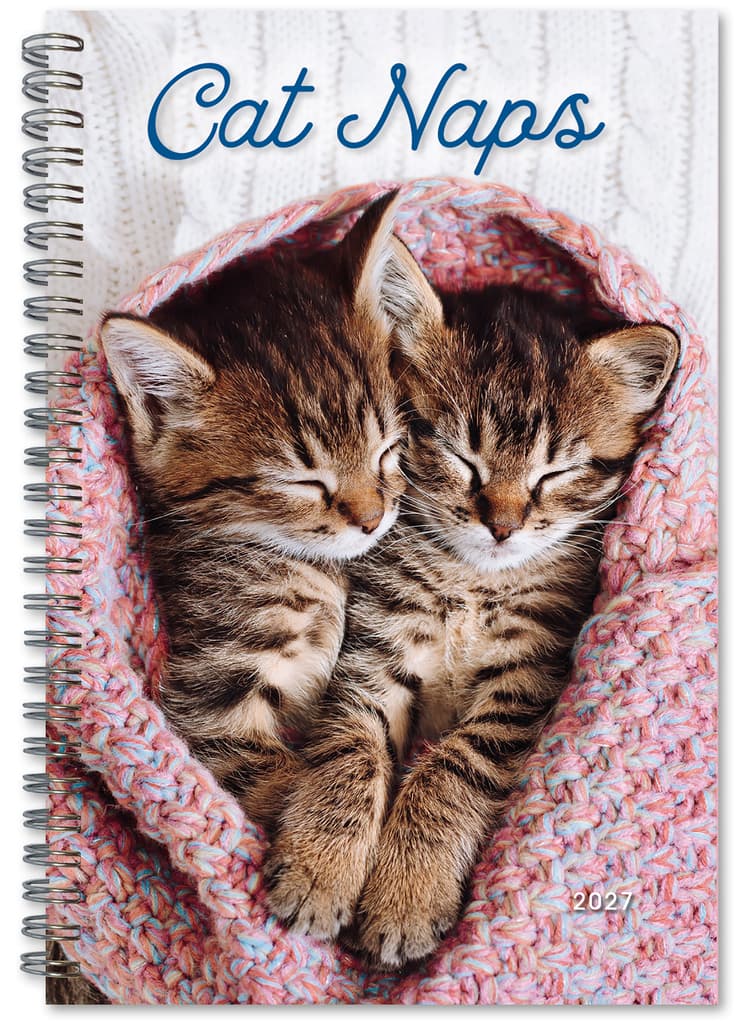 Cat Naps Classic 2027 Engagement Planner Main Product Image