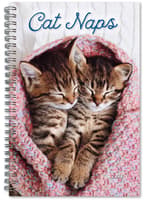 image Cat Naps Classic 2027 Engagement Planner Main Product Image