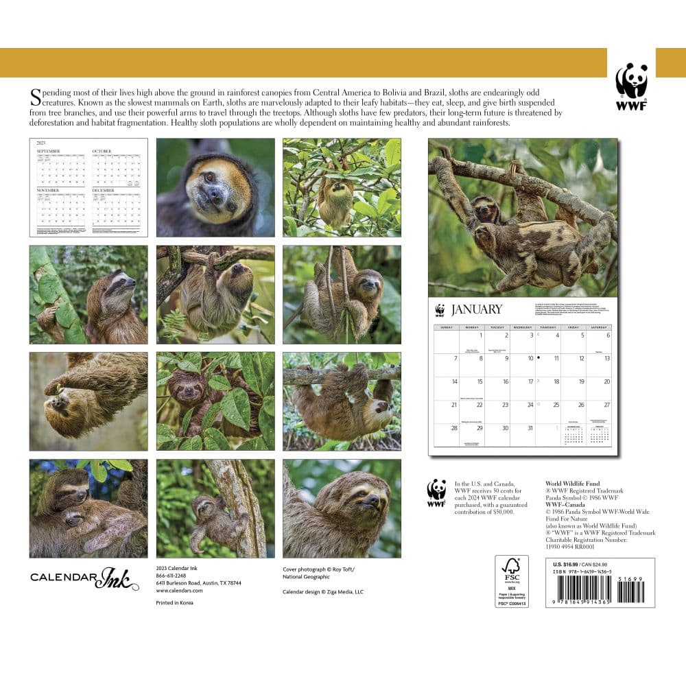 Sloths WWF 2024 Wall Calendar