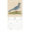 image World of John Derian 2025 Wall Calendar Second Alternate Image width=&quot;1000&quot; height=&quot;1000&quot;