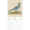 image World of John Derian 2025 Wall Calendar Second Alternate Image width="1000" height="1000"