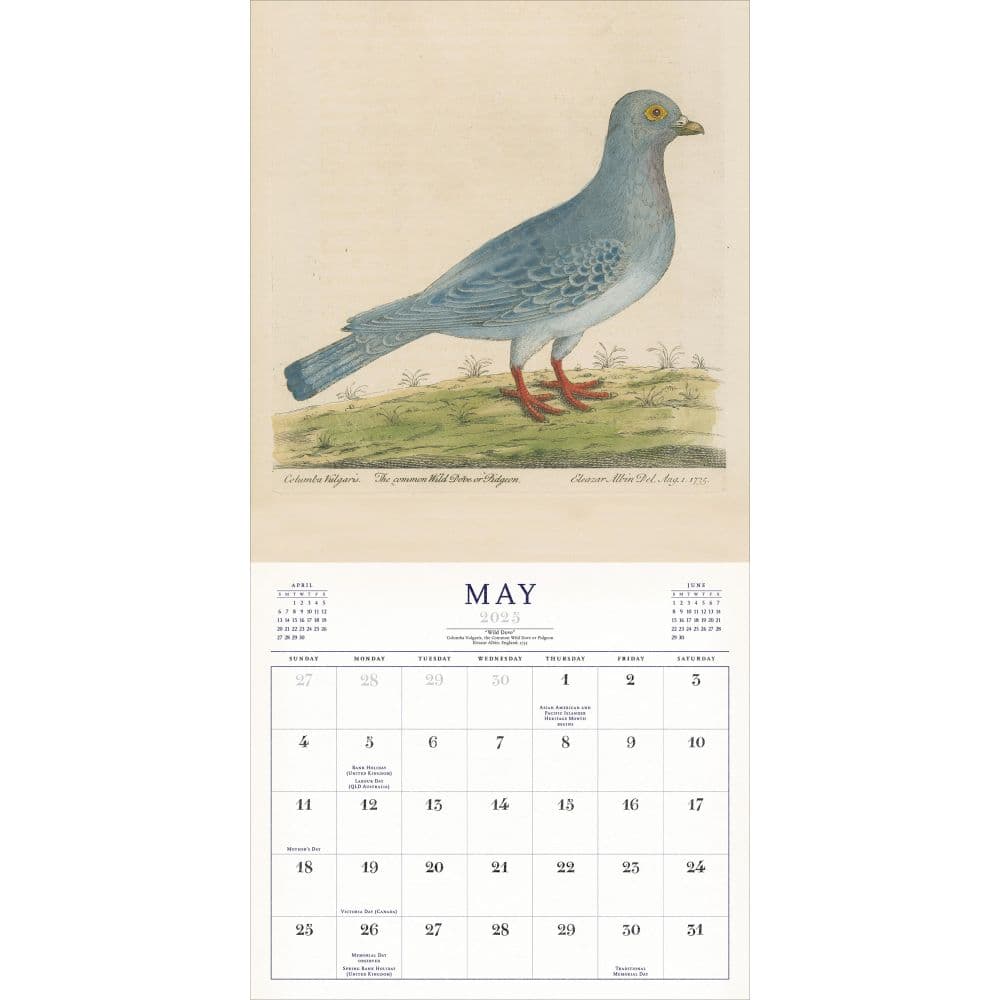 World of John Derian 2025 Wall Calendar Second Alternate Image width="1000" height="1000"